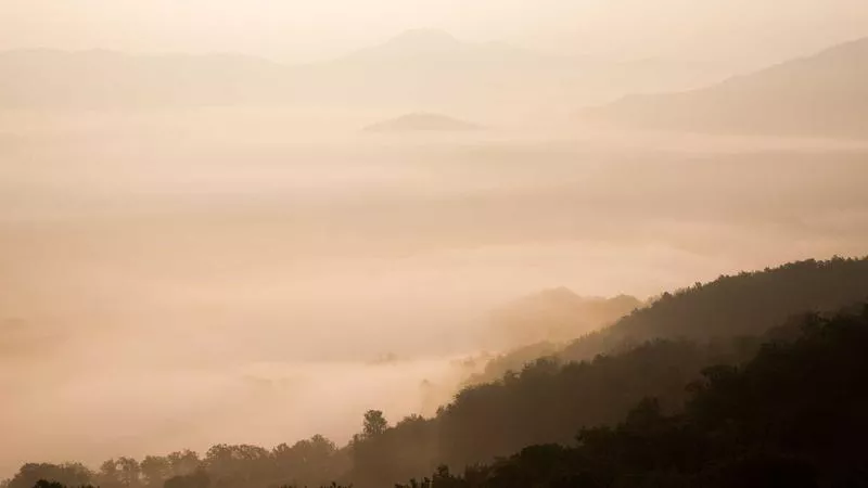 Hệ Thống Nhân Vật và Lối Chơi 