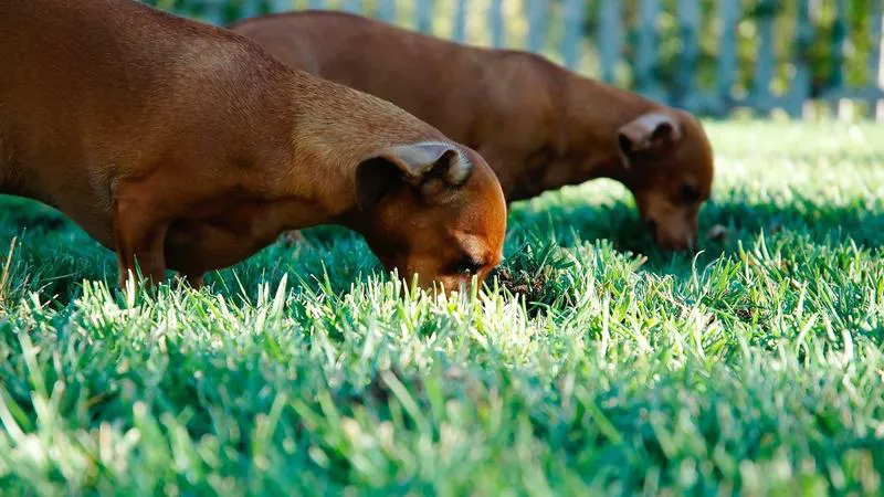 TikToker X.C và Phong Cách Táo Bạo Gây Tranh Cãi
