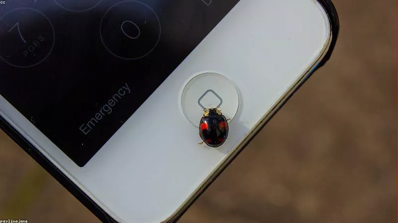 Ứng Dụng Game Apple Mới Trên iOS 19 Thay Thế Arcade?